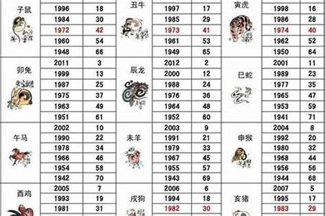 2028 生肖|2028年属什么生肖？2028年生肖属相是猴